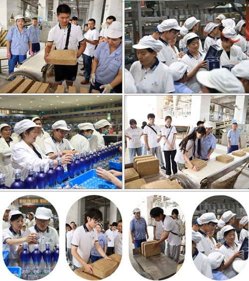 TOP1体育 – 覆盖所有顶级赛事的一站式终端