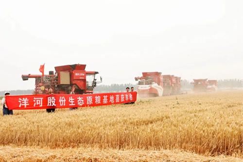 TOP1体育 – 覆盖所有顶级赛事的一站式终端