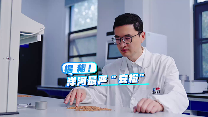 TOP1体育 – 覆盖所有顶级赛事的一站式终端