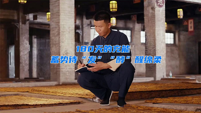 TOP1体育 – 覆盖所有顶级赛事的一站式终端