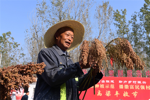 TOP1体育 – 覆盖所有顶级赛事的一站式终端