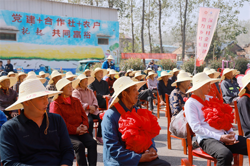 TOP1体育 – 覆盖所有顶级赛事的一站式终端