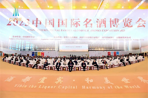 TOP1体育 – 覆盖所有顶级赛事的一站式终端